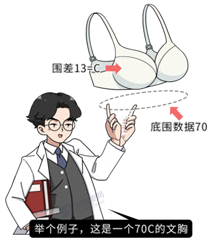 全球胸围排名前十(女性平均胸围省份排名)插图17