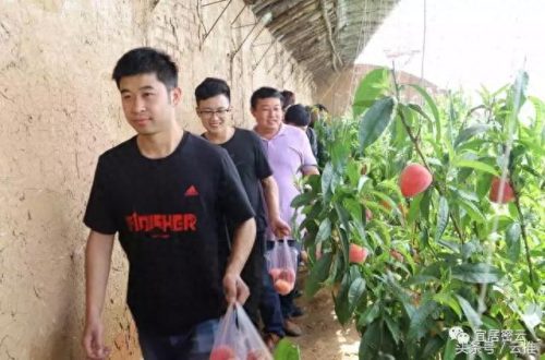 密云公司收入排名前十(密云振农公司)插图2