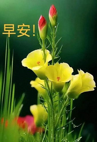 感恩图片2021新图片(感恩图片朋友圈配图)插图17
