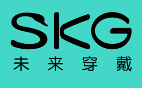 视觉公司排名前十(视觉系统厂家排名)