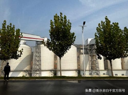衡水砂石公司排名前十(衡水装饰公司排名)插图3