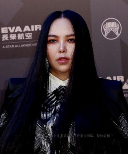 我心中的华语乐坛歌手唱功排行榜(中国公认唱功第一人)插图2