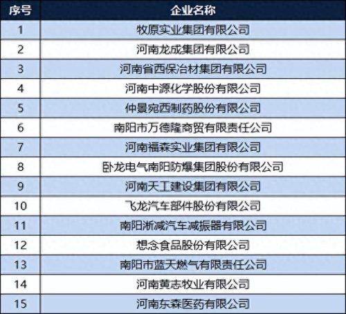 南阳企业排名前十(南阳100强企业名单)插图2