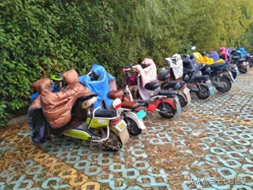 广西省电动自行车排名前十(全国自行车排名前十)插图7