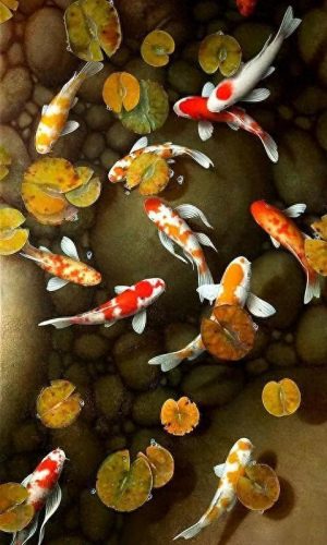 鱼鱼桌面秀(鱼鱼桌面秀侧边栏)插图123
