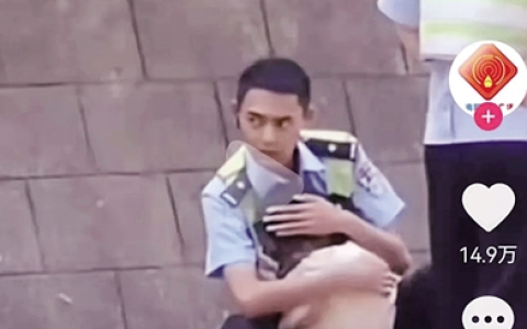 23岁交警泥浆中救出女子后轻拥安抚(23岁交警泥浆池塘中救人)