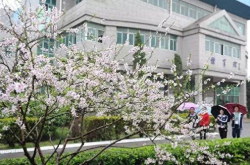 昆山校区排名前十(昆山十大最好小学排名)插图91