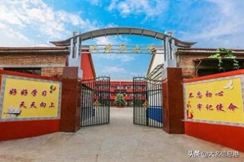 大名市开发区排名前十小学(大名县哪个私立小学最好)插图