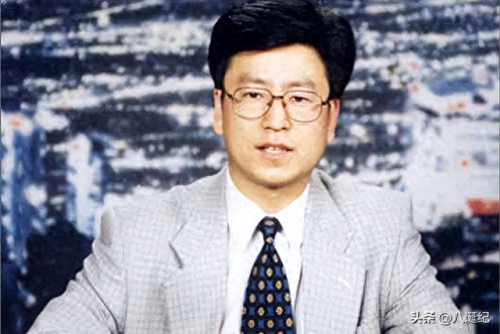 白岩松为什么被央视解雇了(白岩松事件的影响)插图9