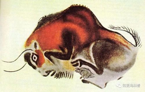 地动山摇代表什么生肖(地动山摇打一个数字)插图3