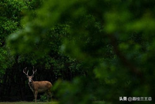 盐城水域排名前十(盐城市省内排名)插图48