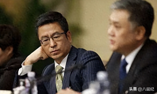 白岩松为什么被央视解雇了(白岩松事件的影响)插图12