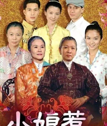 中国骑兵演员表(中国骑兵全40集免费观看)插图10