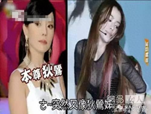 李毓芬整容(李毓芬长得像谁)插图24