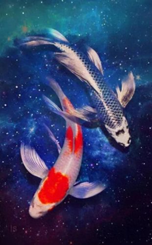鱼鱼桌面秀(鱼鱼桌面秀侧边栏)插图64
