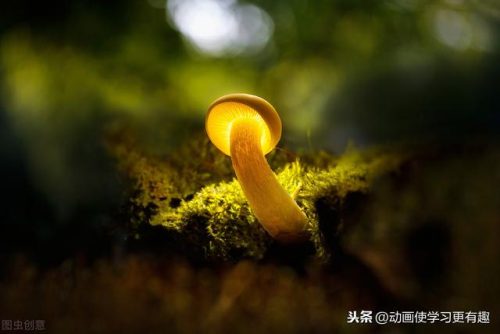 疾驰的近义词是什么(飞奔的近义词是什么)插图2