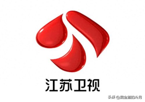 中国电视台公司排名前十(国内电视台排名前十)插图5