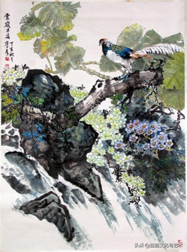 白腹凯克鹦鹉(凯克多少钱一只)插图10