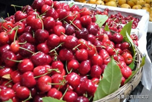 广元市农贸市场排名前十(广元大菜市场)插图17