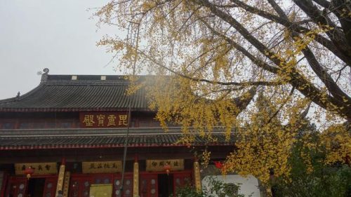 全国先进寺院排名前十(北京道教寺院排名)插图6