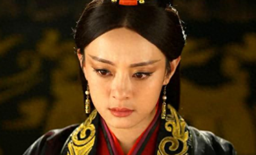秦国宣太后(宣太后)插图5