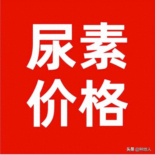 宁夏尿素排名前十(宁夏工业尿素怎么样)插图