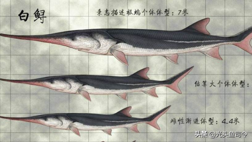 民间关于蛇的传说(有关蛇的传说)插图7