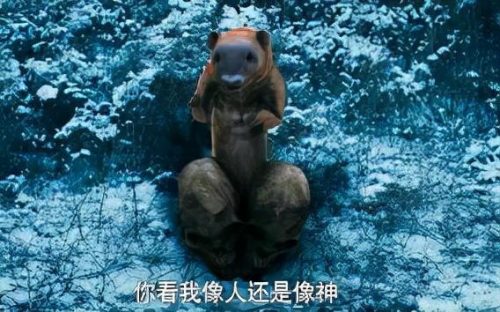 黄鼠狼为什么拜月(黄鼠狼进家预示什么)插图