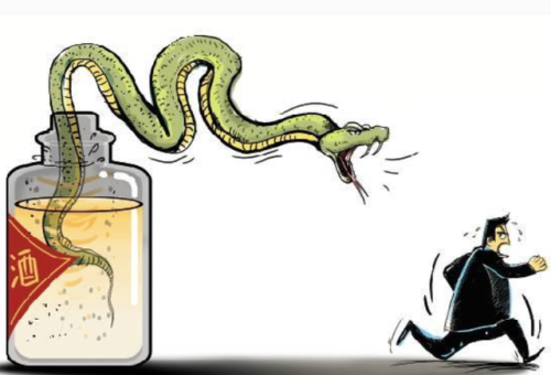 毒蛇泡酒有毒吗(十大毒蛇)插图