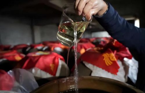 毒蛇泡酒有毒吗(十大毒蛇)插图9