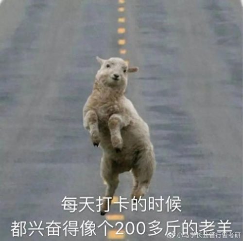 行管专业排名前十(行管专业哪个学校最好)插图3