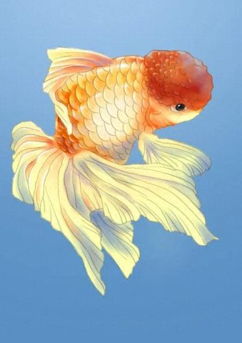 鱼鱼桌面秀(鱼鱼桌面秀侧边栏)插图12