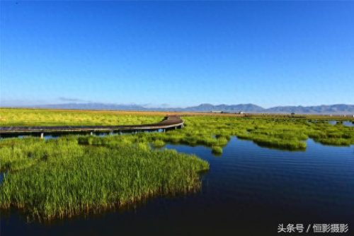 蓝蓝天青青草(青青柳叶蓝蓝天)插图10