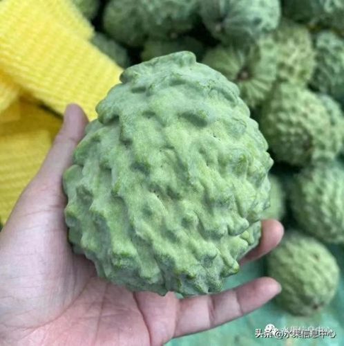 释迦果排名前十(释迦果什么口感最好)插图7