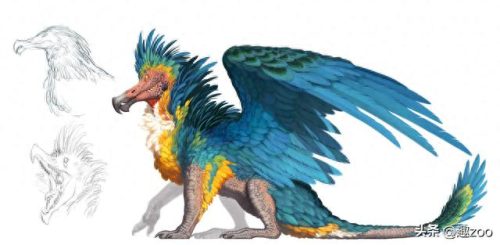 乌鸦世界排名前十(乌鸦战斗力排名)插图11