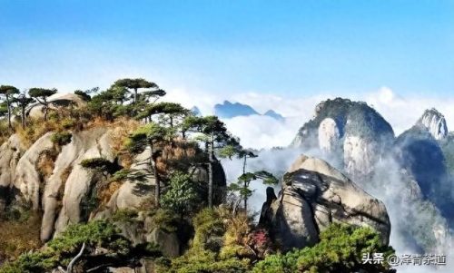 中国文化贸易产品排名前十(中国文化产品排行榜)插图1