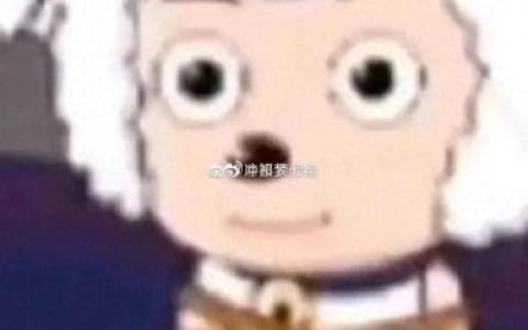 最好笑的图片(弱智人图片)