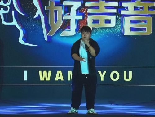 中国好声音戴荃(中国好声音片头曲)插图7