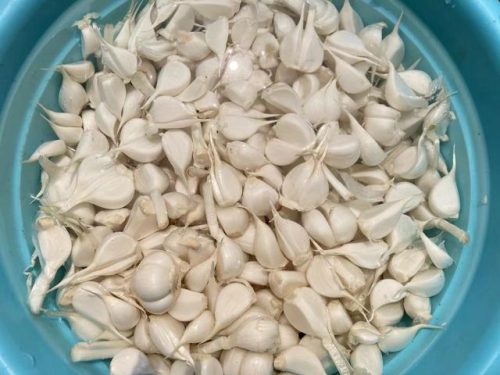 糖醋蒜的比例10-7-2-1(10斤蒜几斤水几斤白醋多少糖)插图2