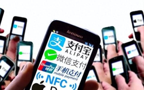 支付宝移动支付排名前十(支付宝为什么不能花呗支付)
