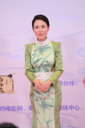 湖南女演员排名前十(湖南女主持人所有名单)插图2