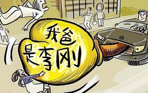 李刚岳父(李启铭父亲李刚央视采访)插图1