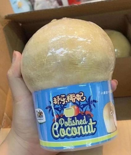 椰子品牌排名前十(椰子鞋品牌的代工厂)插图9