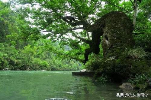 民间关于蛇的传说(有关蛇的传说)插图3