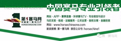 最准确的马报彩图(103期排列五的马报)插图