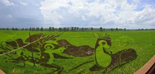 辽源住房排名前十(辽源小区排名一览表)插图9