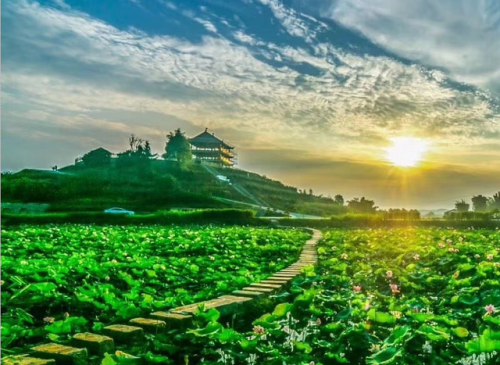 宜宾家庭农场排名前十(宜宾波波农场)插图17