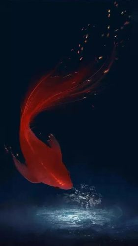 鱼鱼桌面秀(鱼鱼桌面秀侧边栏)插图83