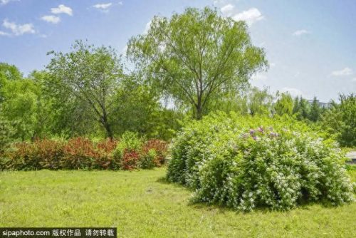 北京西城免费公园排名前十(北京最好免费公园)插图7