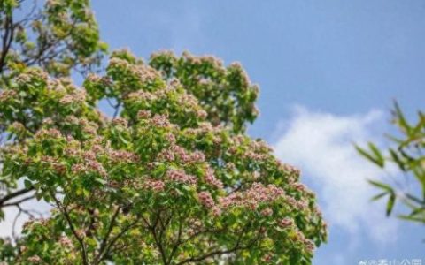 排名前十火的景点(新余景点排名前十)